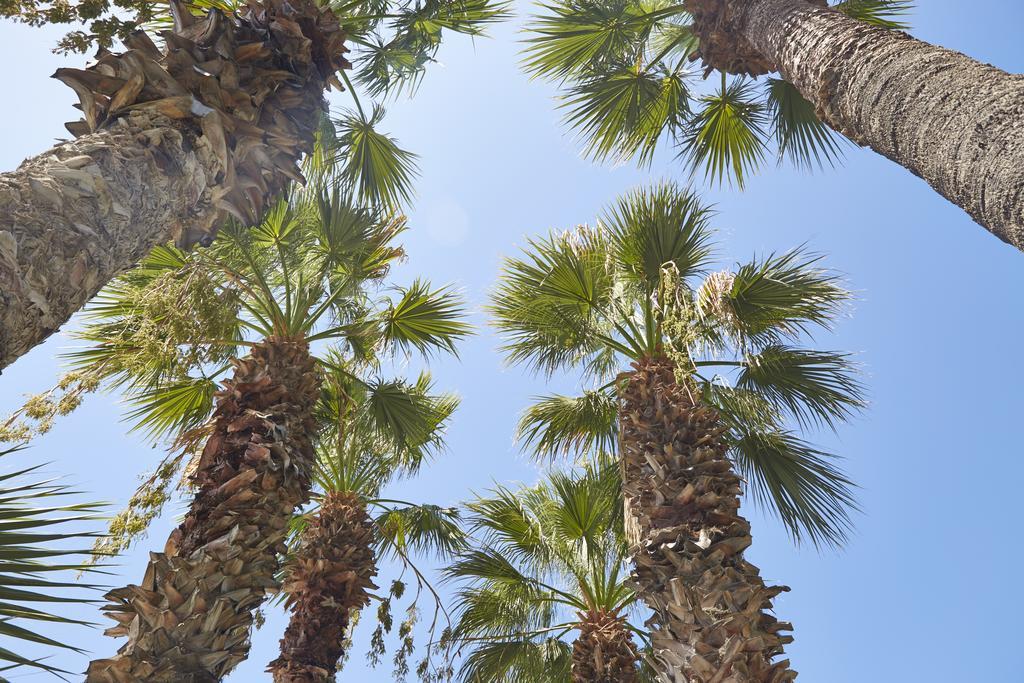 Meteor Beach Hotel Turgutreis Ngoại thất bức ảnh