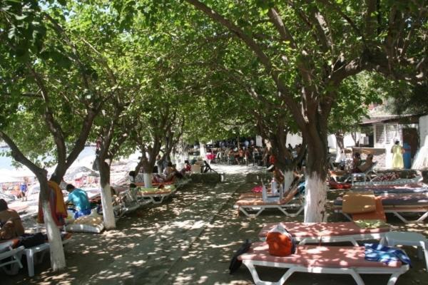 Meteor Beach Hotel Turgutreis Ngoại thất bức ảnh